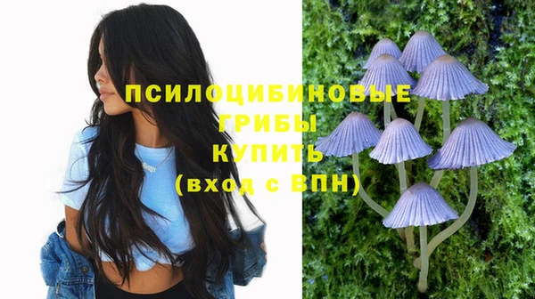 дживик Красноперекопск