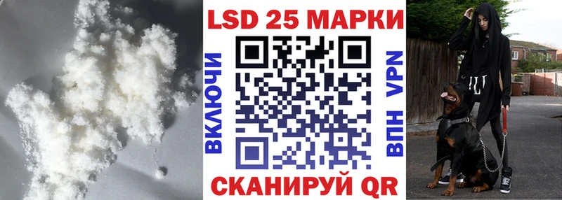 Купить закладки  Верея  Лсд 25 экстази кислота 